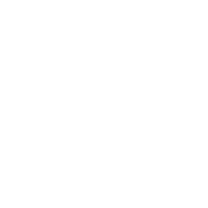 Adaptación del formato en la traducción de vídeos.