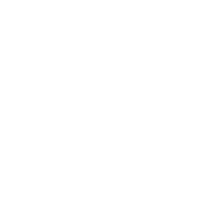 Falta de tiempo para llevar a cabo traducción de vídeos.